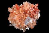 Orange Creedite Crystal Cluster - Durango, Mexico #79367-1